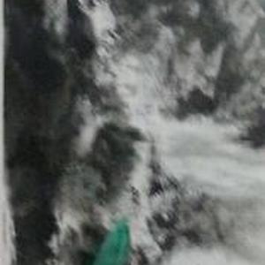《仙人掌》