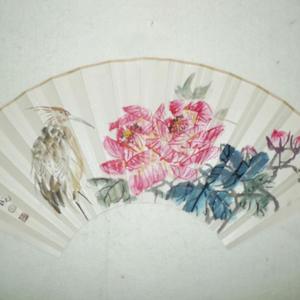 一鹭荣华 2013年