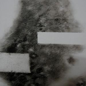 20134