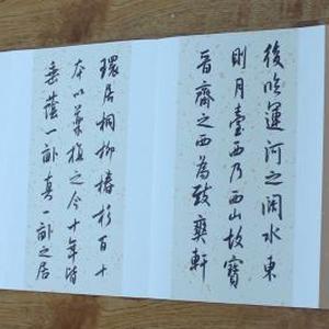陈墨石书法册页 临米芾书法尺牍