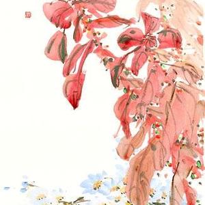 《似火年华》