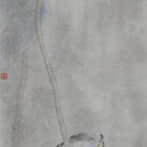 听荷