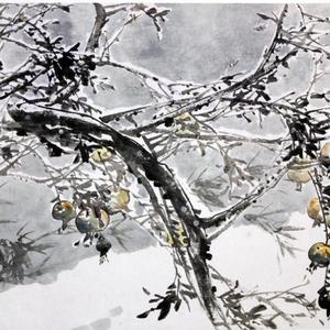 花鸟8