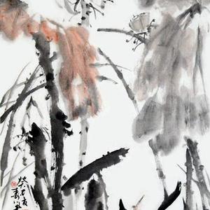 荷塘情趣