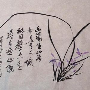 兰花小品系列之一