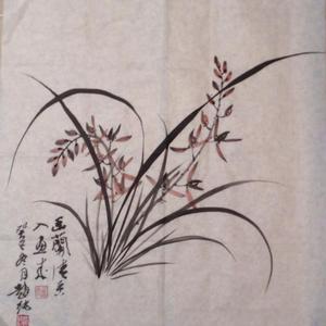 兰花小品系列之三