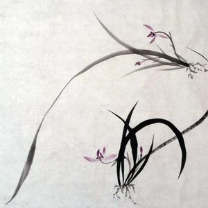 兰花小品系列之四