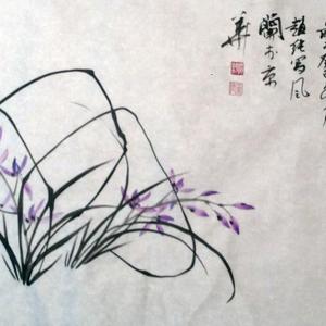 兰花小品系列之五