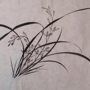 兰花小品系列之七