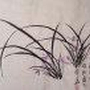 兰花小品系列之十一