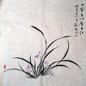 兰花小品系列之十三