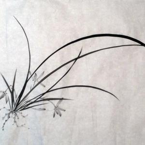 兰花小品系列之十五