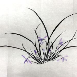兰花小品系列之十六