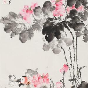 荷花图