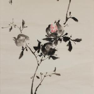 矜红掩素