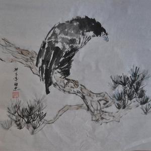 鹰