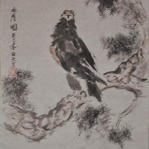 鹰