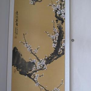 白梅