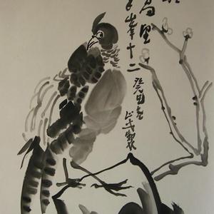 锦鸡