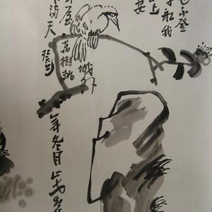 黄鹂鸟