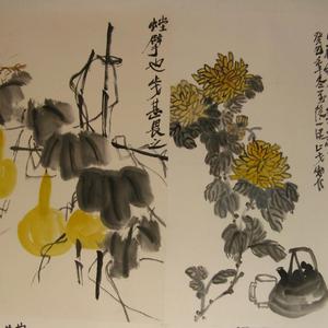 葫芦菊花
