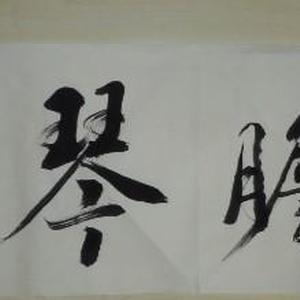 剑胆琴心