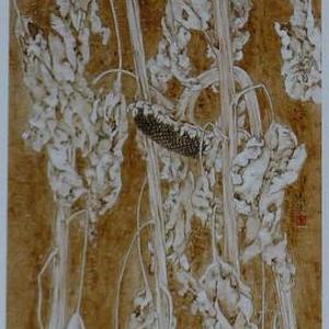 寒露