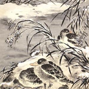 汀洲寒鸭图