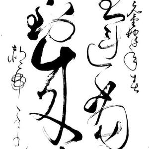 鸿运当头  马到成功