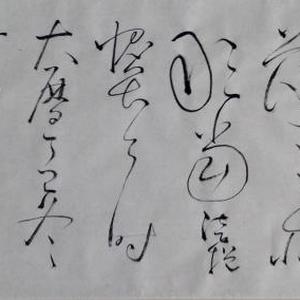 临摹怀素《自叙帖》