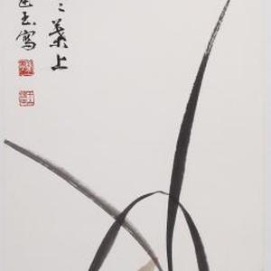 着色兰