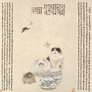蝶恋