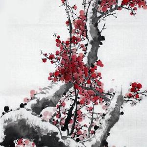 傲骨凝香
