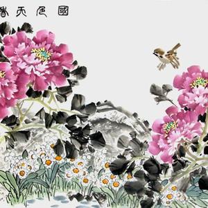 2014牡丹《国色天香》