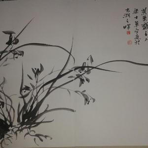 梁士军花鸟（兰香四时）