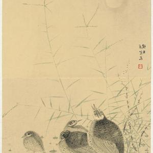 静月