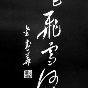 行草【落花飞雪何茫茫】