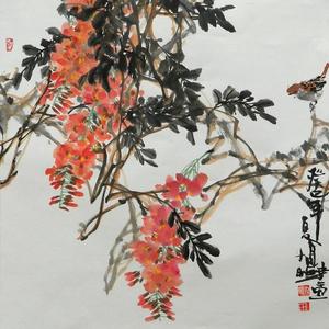 紫藤小鸟