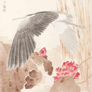 鲍虎作品 《一鹭荣华》