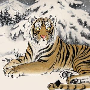 雪原王者