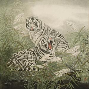 旷野雄风