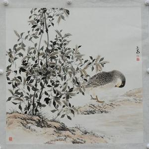 洗羽