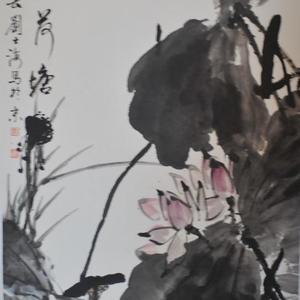 春风绕荷塘