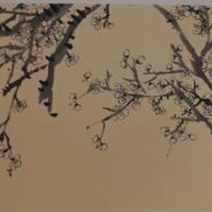 山花烂漫