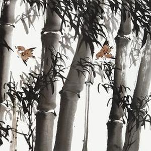 清风雅韵