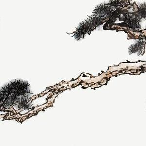 苍劲挺立