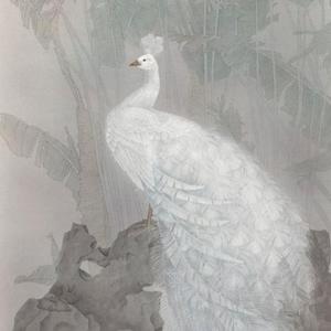 圣洁