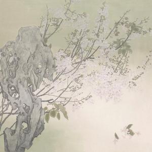 新雨后