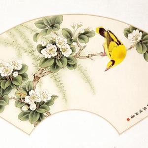 《梨花春艳 扇面》
