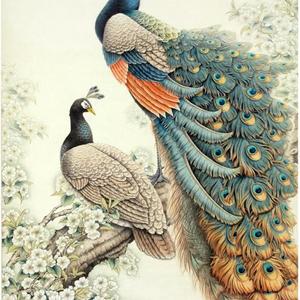 《香沁锦衣》